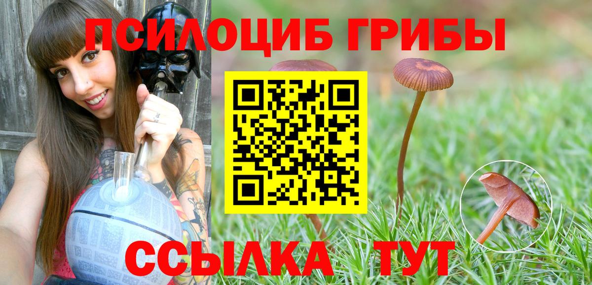Галлюциногенные грибы мицелий Будённовск