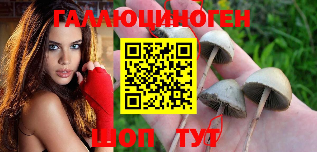 Галлюциногенные грибы прущие грибы  Вход с VPN  Будённовск 